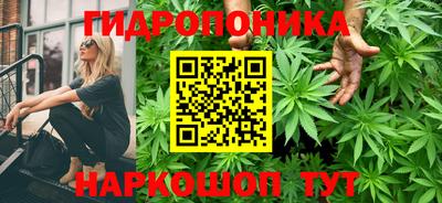 спиды Свободный