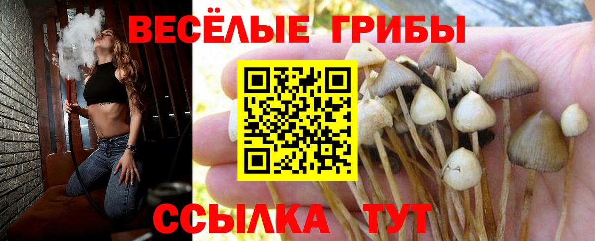 Псилоцибиновые грибы мухоморы  Вход с VPN  Саратов 