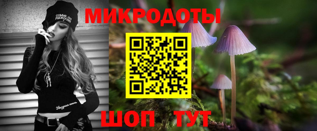 Псилоцибиновые грибы GOLDEN TEACHER Саратов